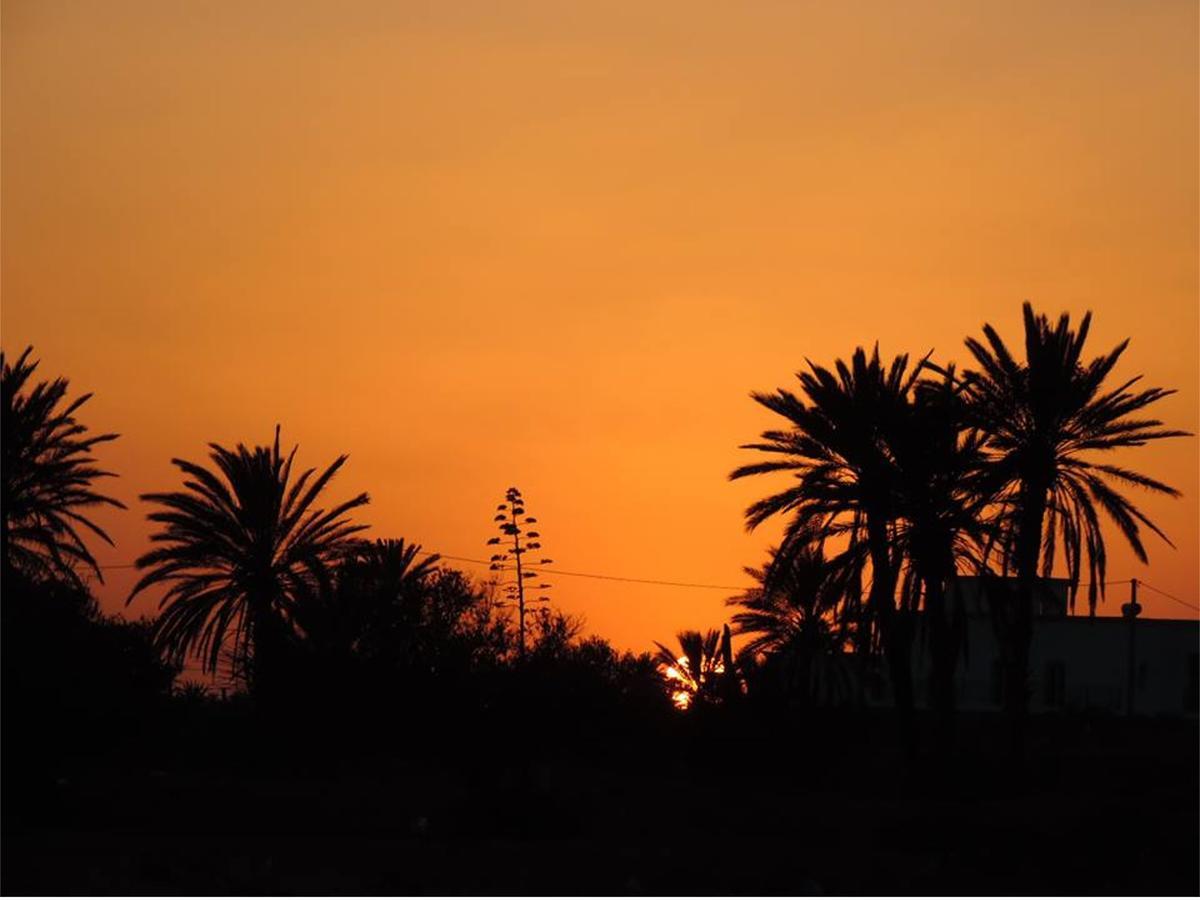 Dar Jasmin Djerba Bed & Breakfast Temlale Exterior foto