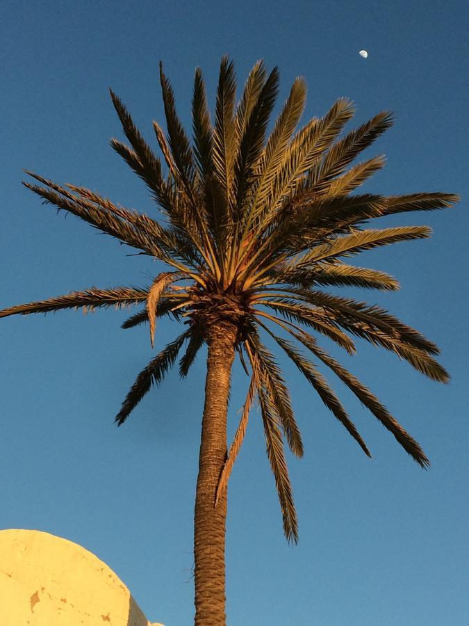 Dar Jasmin Djerba Bed & Breakfast Temlale Exterior foto
