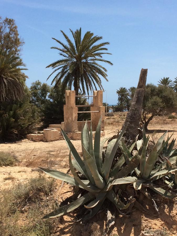 Dar Jasmin Djerba Bed & Breakfast Temlale Exterior foto