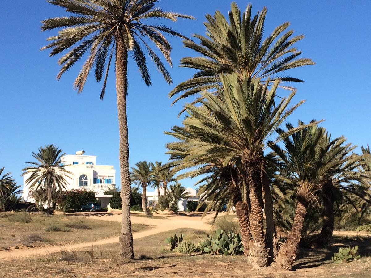 Dar Jasmin Djerba Bed & Breakfast Temlale Exterior foto